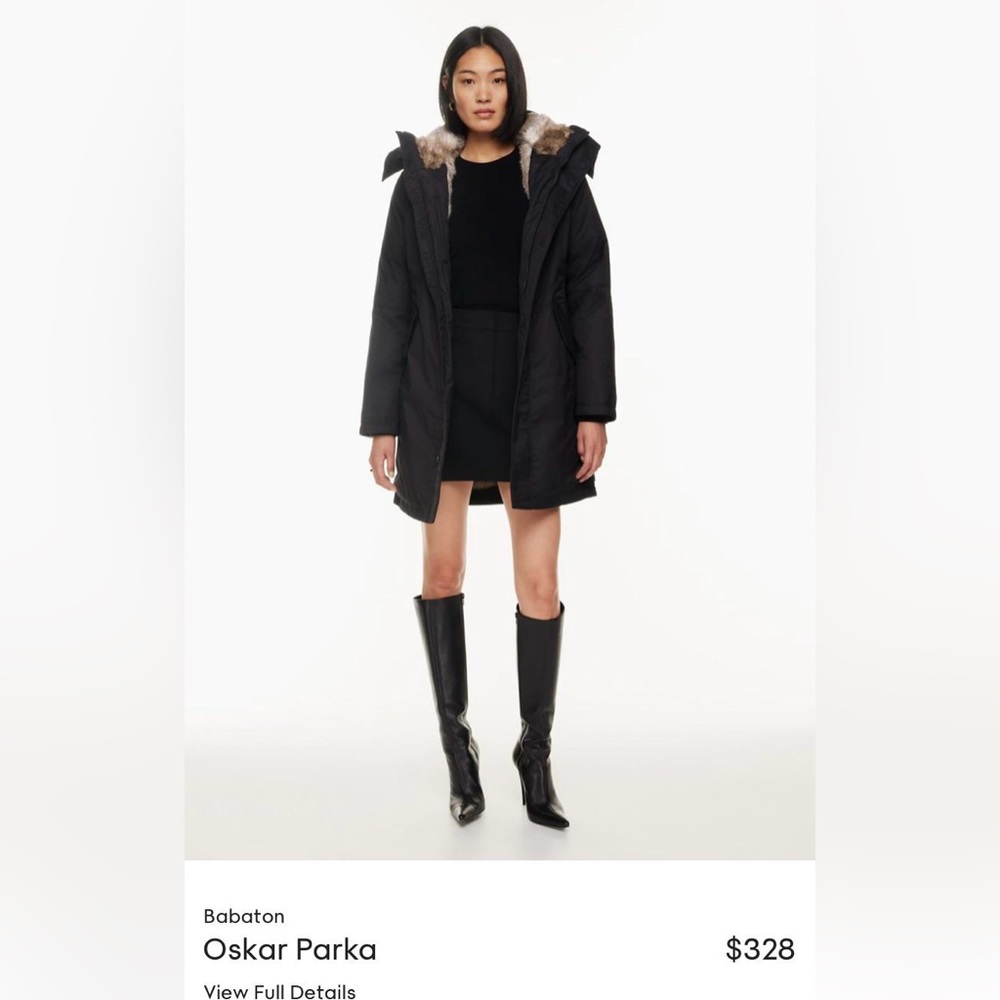 Aritzia Babaton Parka